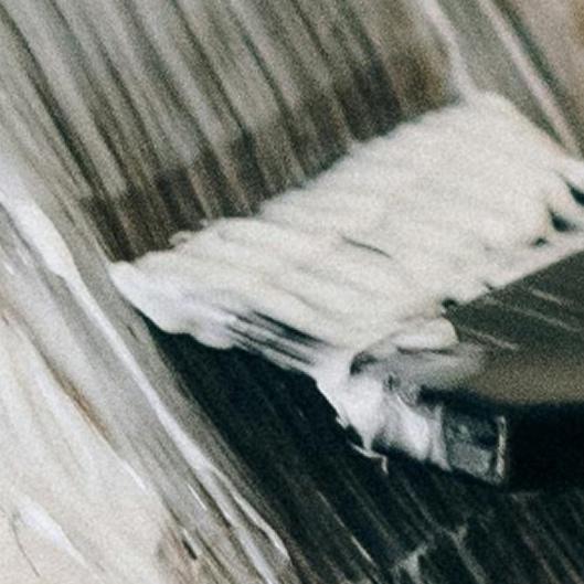 Root Touch-Up Membership